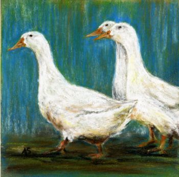 Ducks