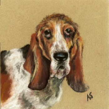Hound