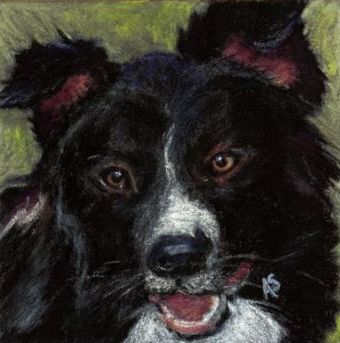 Tess