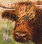 Angus