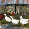 Geese