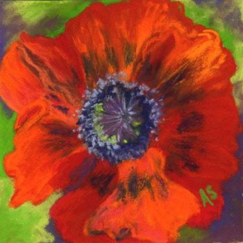Poppy 1