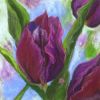 Tulip 1