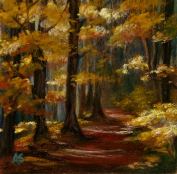 Forest Walk