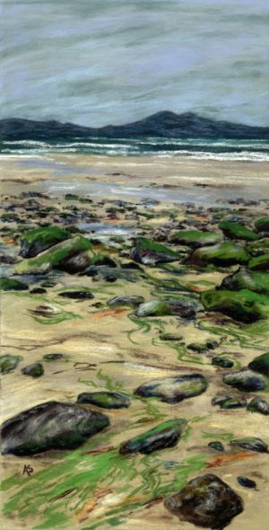 Seaweed Bay